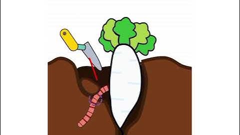 Help Out Story  - Tricky Puzzle Gameplay Walkthrough (Android,  iOS Game )