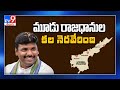 YSRCP MLA Gudivada Amarnath over approval of three-capital bill