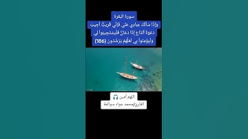 سورة البقرة-آية186: القارئ/محمد جواد سوالمة