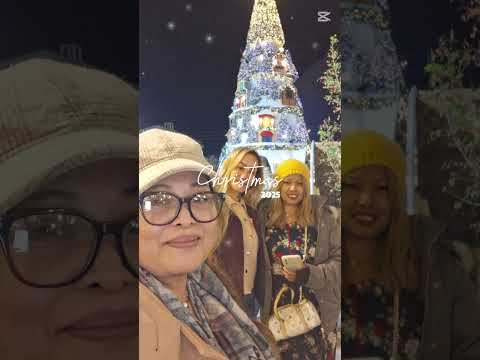 Batroun Christmas Decoration Like Lebanon Shortsvideo Shortvideo Christmassong 