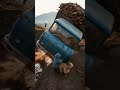 Dog carries baby out of truck after it rolls out of control to avoid children.