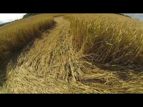 Crop Circle at Battlesbury Camp, Wiltshire, 5th July 2017