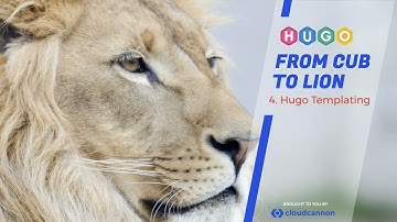 Hugo Beginner Tutorial — #4 Hugo Templating