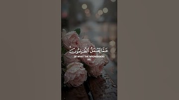 تلاوة خاشعة من القارئ#القرآن_الكريم #تلاوة_خاشعة #راحة_نفسية #ترند #تيك_توك