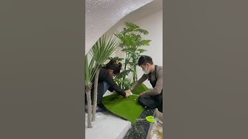 Tiểu cảnh cây giả gầm cầu thang #caygia #caygiatrangtri #caycanh #cây