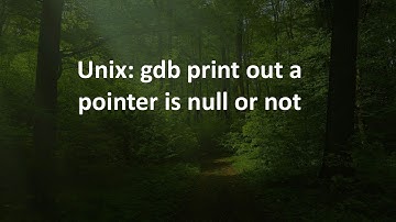 Unix: gdb print out a pointer is null or not