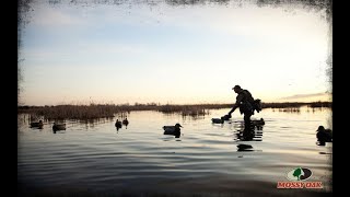 DUCK HUNTING CLUB SUISUN MARSH CALIFORNIA 220 ACRES