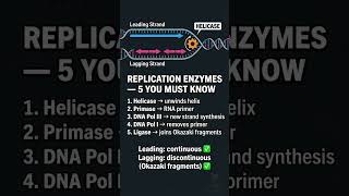 DNA to Protein in 2 Mins ⚡ Molecular Basis of Inheritance | NEET 2026 #shorts #biology #neet2026