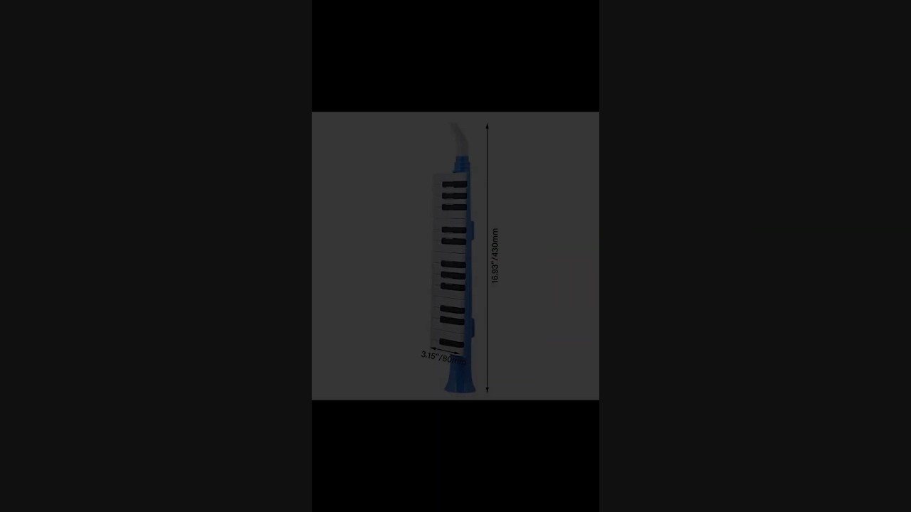 Yibuy 27 Keys Melodica Showcase