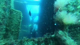 Famous Lily and Adrian on the mighty Zenobia shipwreck with Freedom Divers Cyprus Net Worth