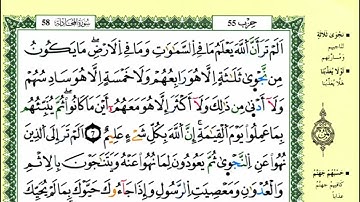 سورة المجادلة للقارئ ياسين الجزائري برواية ورش