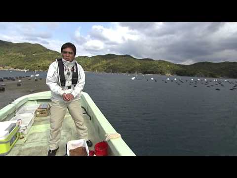 【いつでも釣り気分！】#082 チヌ師大物勝負！カセ釣り年無し狙い