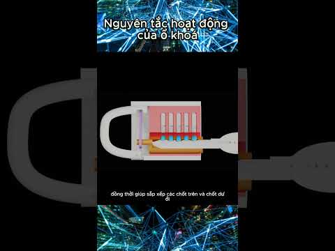 Nguyên lý hoạt