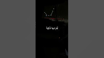 {إِنَّ أَصْحَابَ الْجَنَّةِ الْيَوْمَ فِي شُغُلٍ فَاكِهُون}. #سورة_يس الآيه 55 🤍🤍✨.