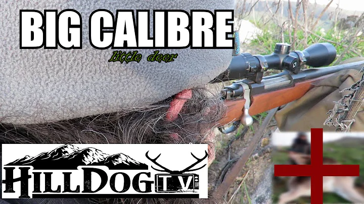 Ruger .35 WHELEN V DEER 250gr Partitions