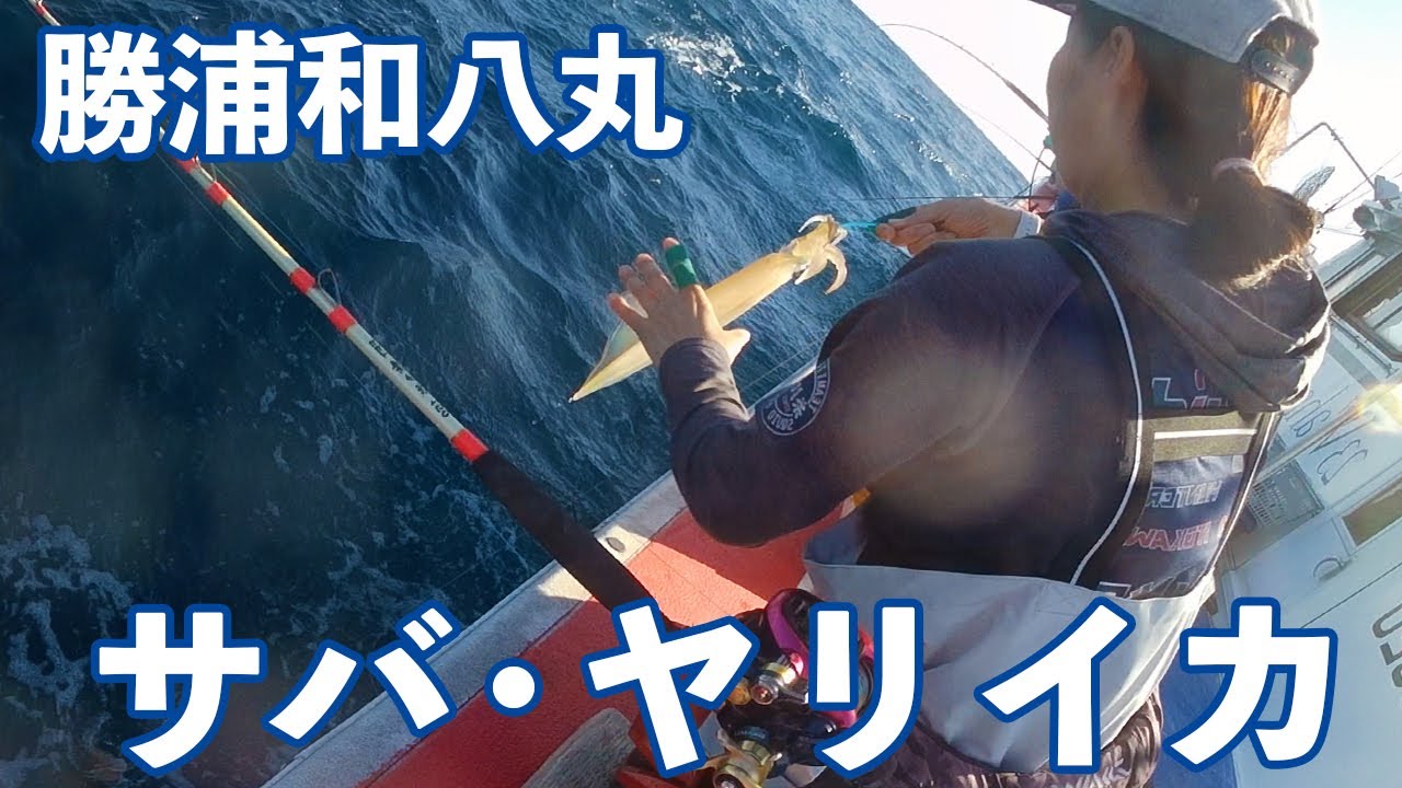 冬の外房名物 豚サバ ヤリイカ釣り 勝浦和八丸 21 2月 Youtube