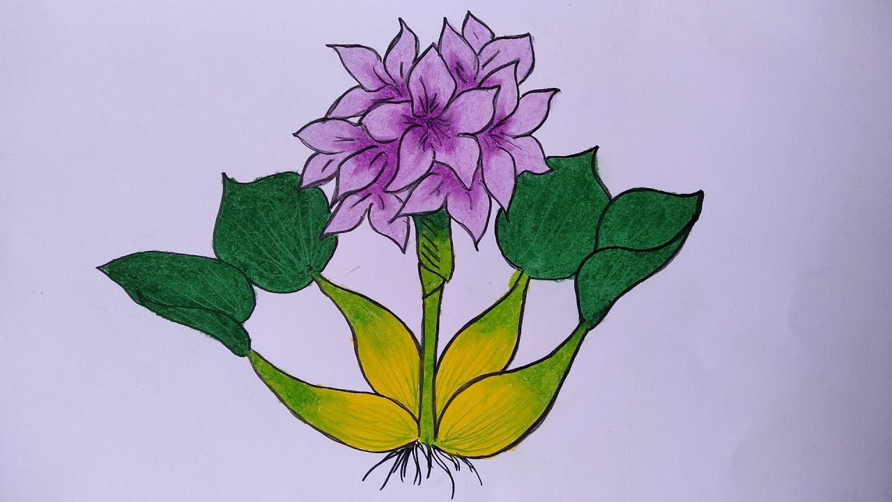  Cara menggambar bunga  yang mudah dan bagus Menggambar  