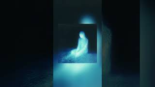 leadwave - fly