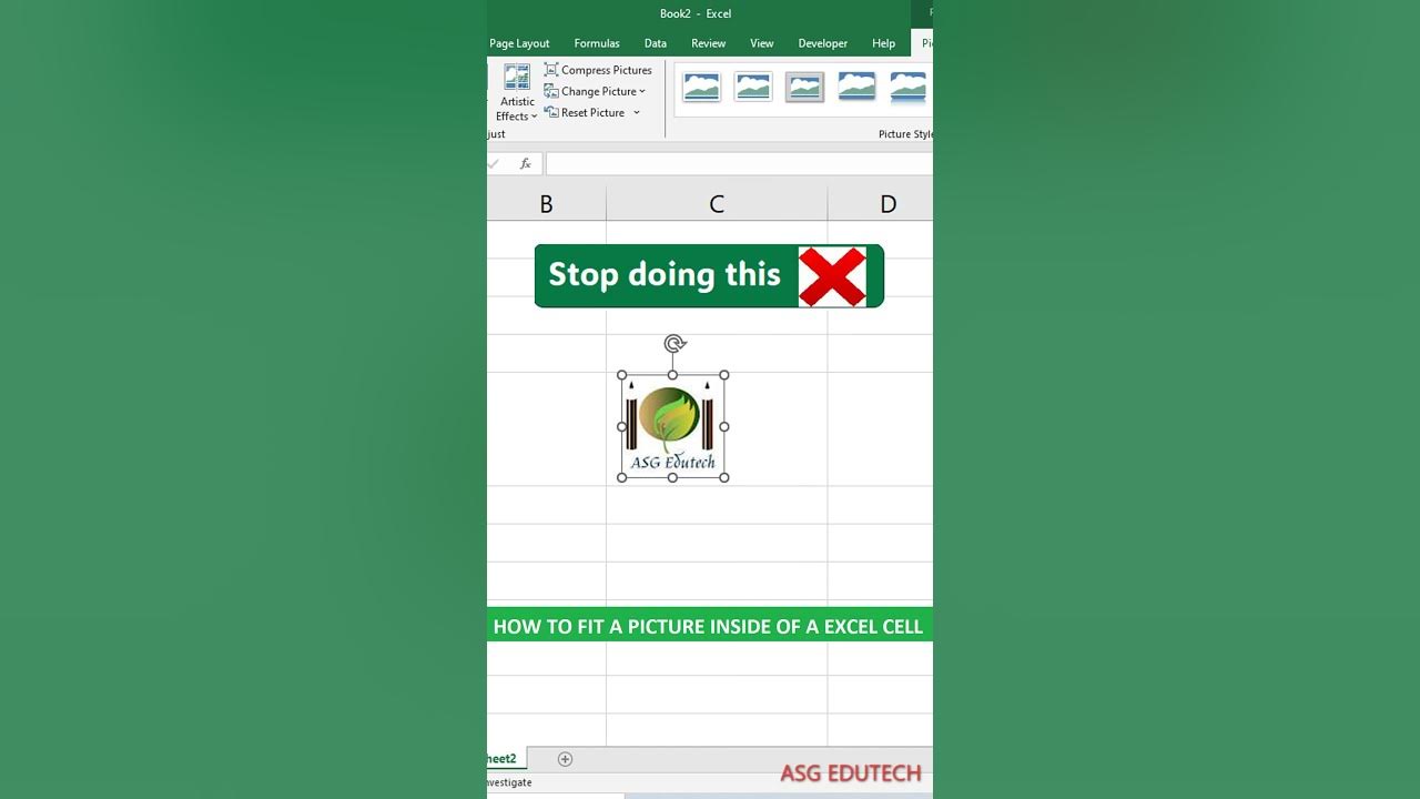 how-to-insert-picture-and-auto-resize-in-excel-cells-excel-shorts