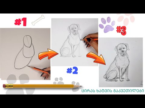 როგორ დავხატოთ ძაღლი|| ლეკვი||HOW to draw a DOG|| for beginners