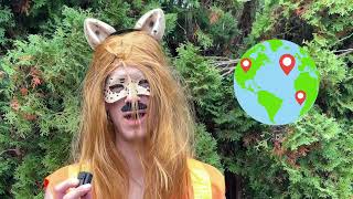 50 Sketchy Comedy Bit