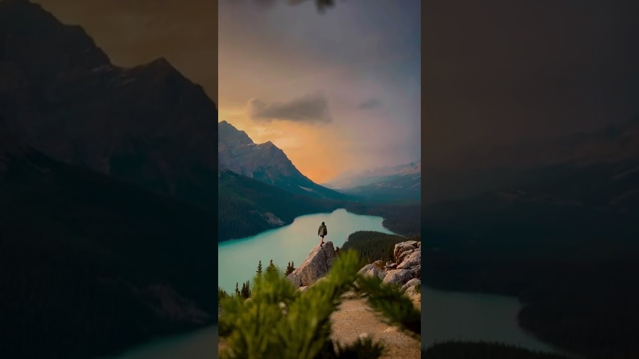 Guarda Nature's Walk | Wait for it ... #shorts #viral #ytshorts #trending #viralvideo su YouTube Guarda Nature's Walk | Wait for it ... #shorts #viral #ytshorts #trending #viralvideo su YouTube