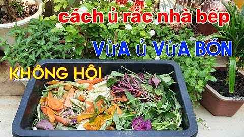 cách ủ rác nhà bếp 2 trong 1,vừa ủ vừa bón cho cây, không hôi, rất đơn giản.
