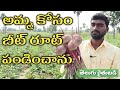 బీట్ రూట్ బాగా పండింది : రాఘవేందర్ యాదవ్ | Beetroot Cultivation in Telugu | తెలుగు రైతు బడి