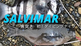 #5【魚突き】SALVIMARサルビマーのダイビングナイフで初魚をしめる