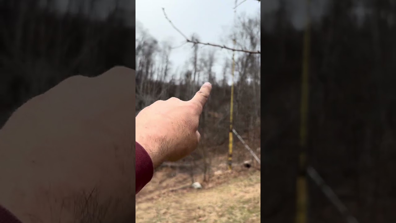 Антенная схема ZS6BKW