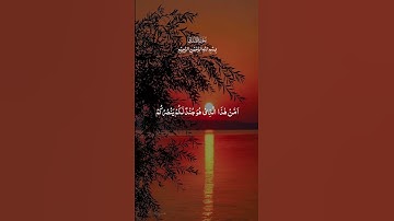سورة الملك#المصحف #اكسبلور #راحةنفسية