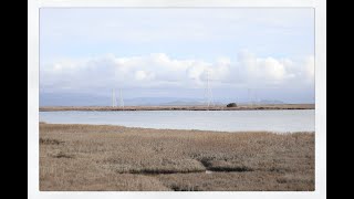 Famous Leetcode 242 (easy). Valid Anagram【dictionary】English/Python Net Worth