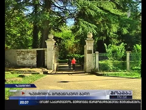 განადგურებული მცენარეები და დანგრეული ინფრასტრუქტურა