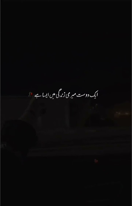 Dosti Shayari | Friendship Shayari 2 line | New Friendship Poetry in Urdu #foryou #shorts