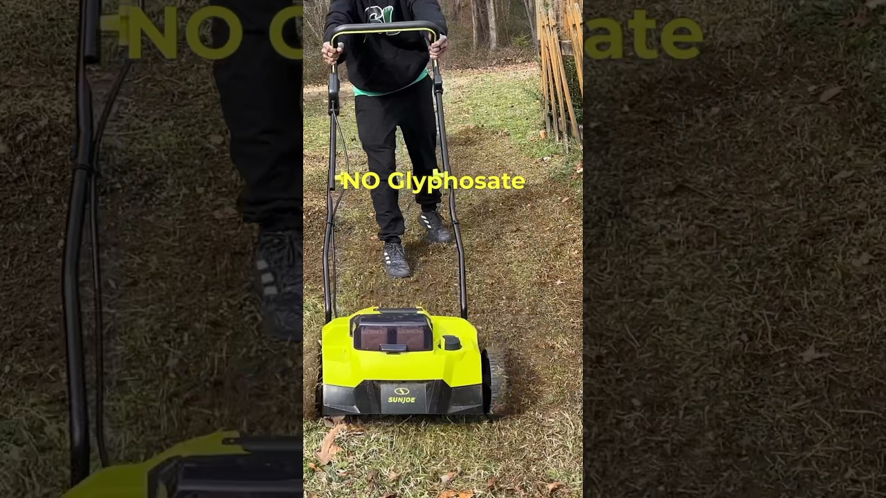 Lawn Renovation No Glyphosate 