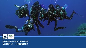 MantaWatch Internship Programme 2018 - Interns Diary - Week 2