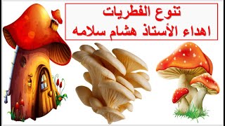 تنوع الفطريات احياء1 مسارات