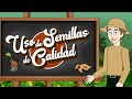 ✅¿POR QUÉ USAR SEMILLAS DE CALIDAD?