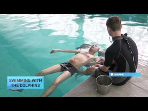 Dolphin Therapy for Veterans: Ukrainian soldiers receive both physical and mental help