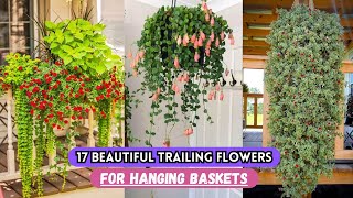 17 Beautiful Trailing Flowers for Hanging Baskets #gardening