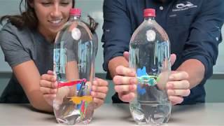 Kitchen Science: Pressure and Cartesian Divers