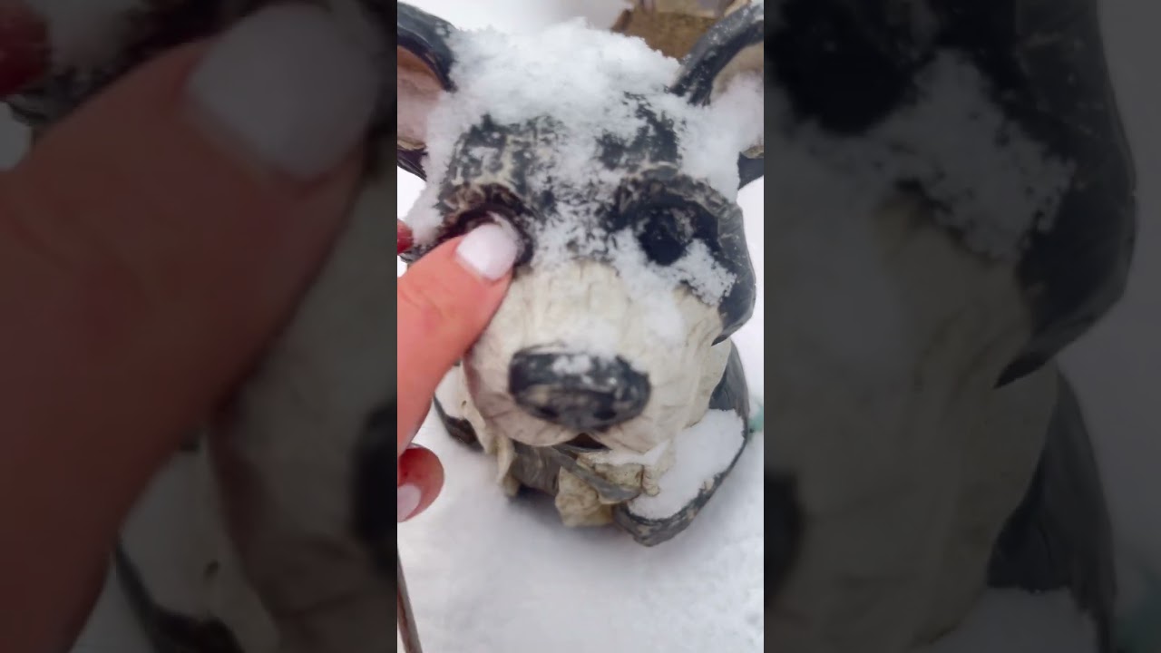 🌨️ Experiencing Winter Outdoors: First ASMR Tingles of the Season 🫧✨  