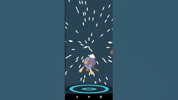 hatch the pokeegg  Pokemon full evolve