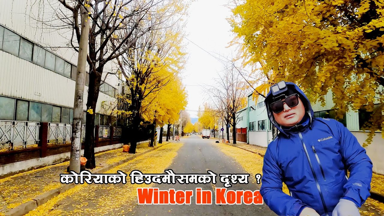 Winter in Korea , Cycling in winter around the company area of Sungseo ...