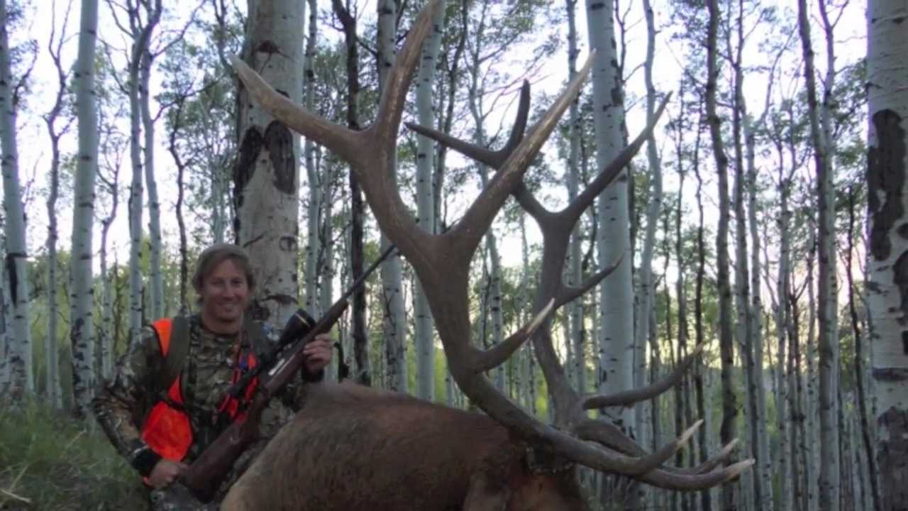 3 Forks Elk Hunt YouTube