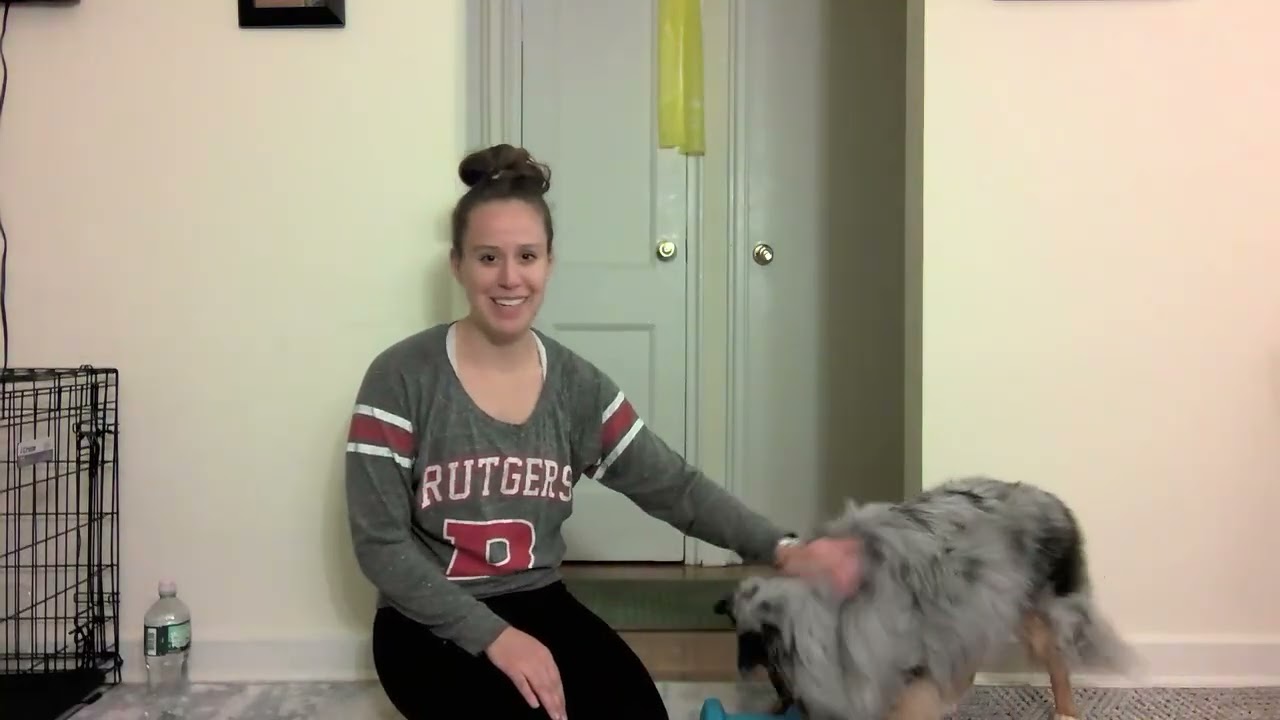 Day 10 | Back and Core