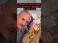 Me talking to the dog dog video #shorts