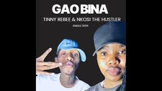 Gao Bina ft Nkosi The Hustler( Visualizer )