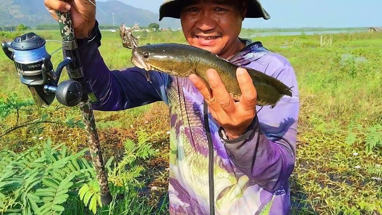 Khai Cần Mùng 5 _Cũng Tạm Ổn.