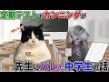 【ほぼ実話】定期テストでカンニングがバレた中学生の話【猫ミーム】【猫マニ】